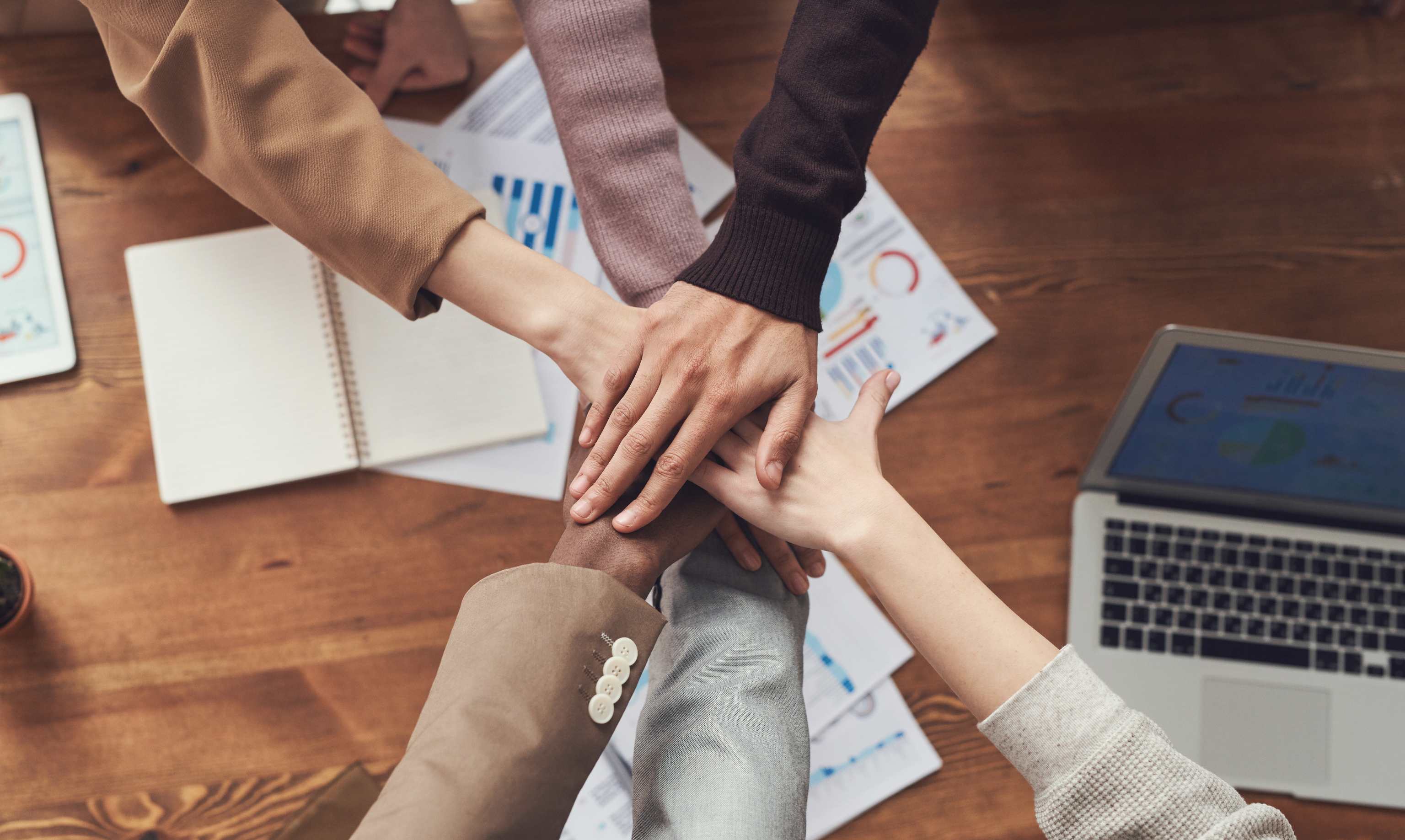 新澳门全年资料内部公开