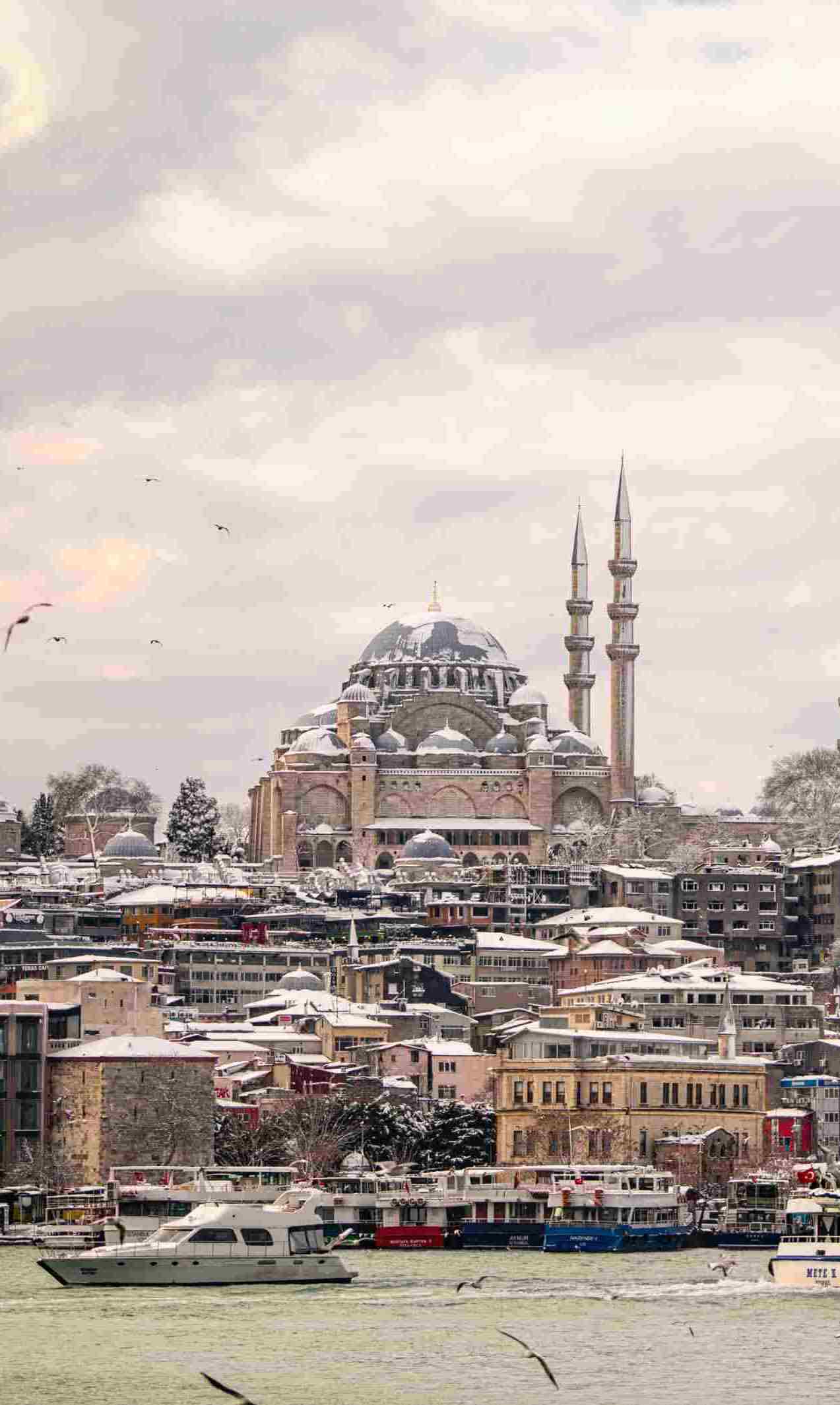 新澳门全年资料内部公开