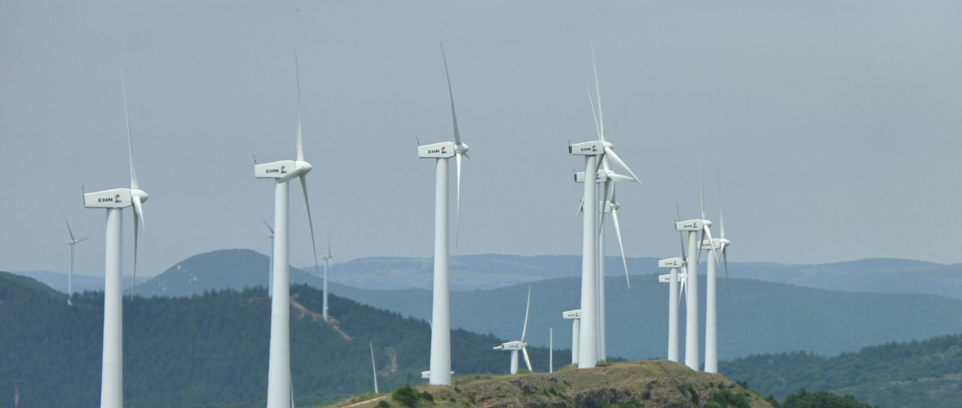 新澳门全年资料内部公开