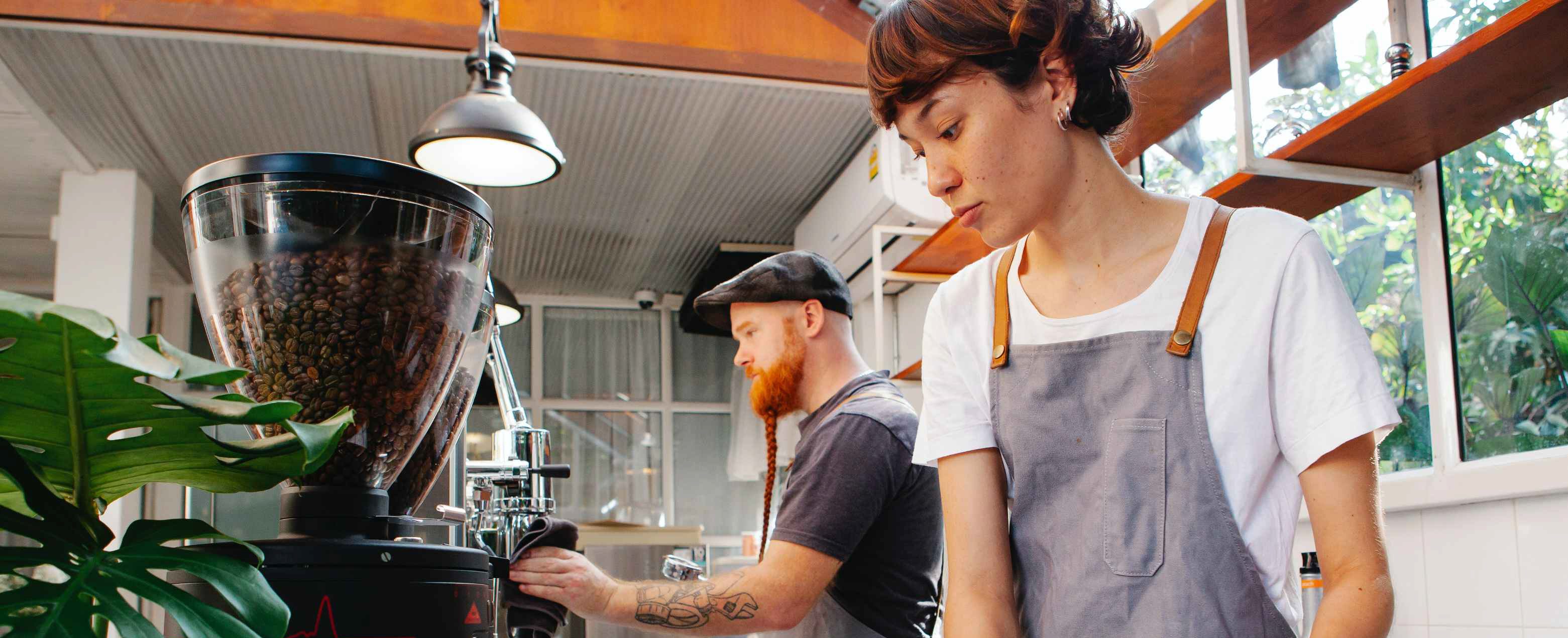 新澳门全年资料内部公开